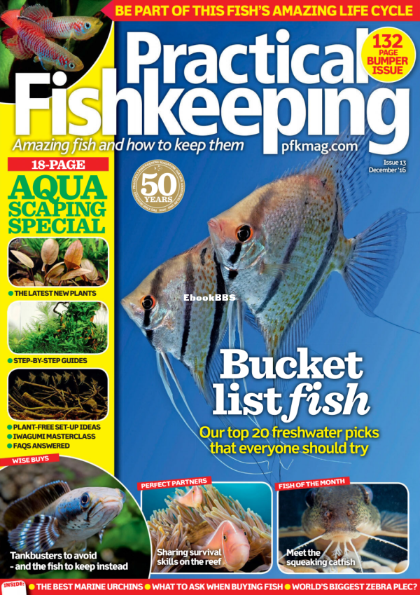 Practical Fishkeeping - December 2016 - 1.png