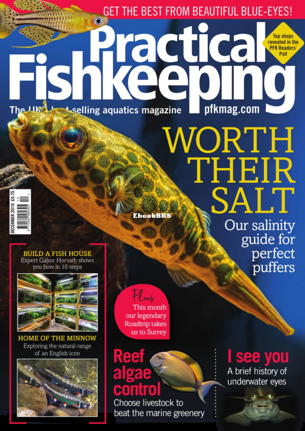 Practical Fishkeeping - December 2019 - 1.png
