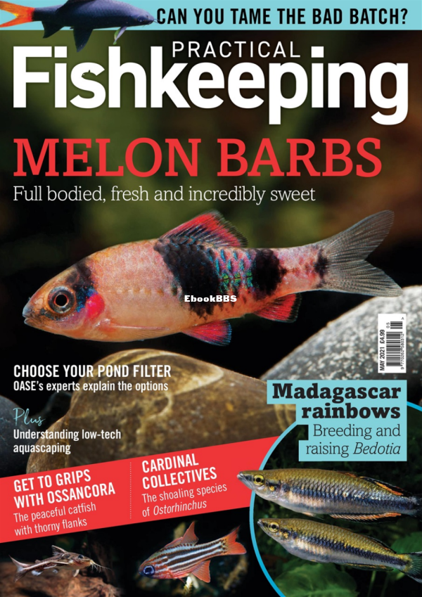 PracticalFishkeepingMay2021 - 1.png