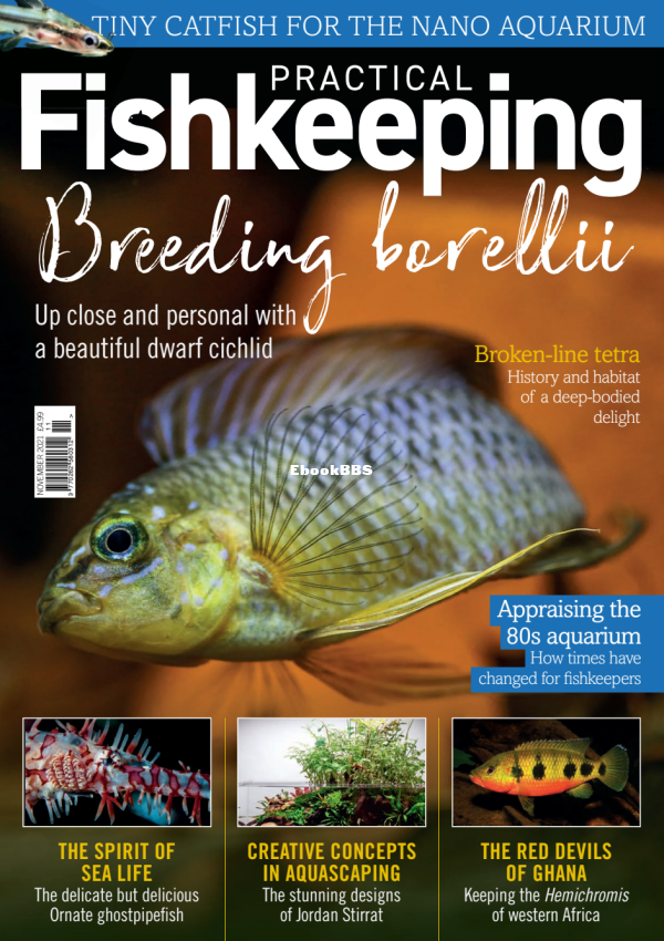 Practical Fishkeeping 11.2021 - 1.png