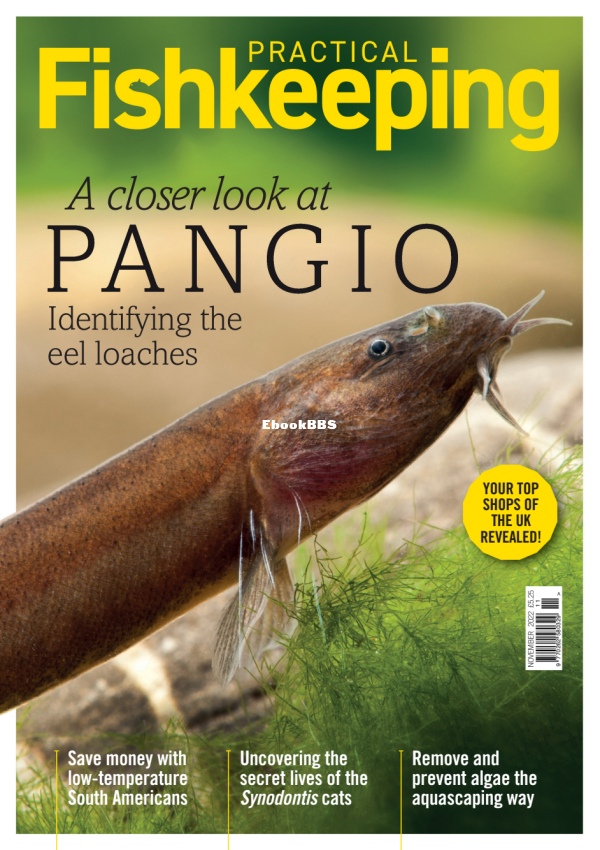 Practical Fishkeeping 11.2022 - 1.png