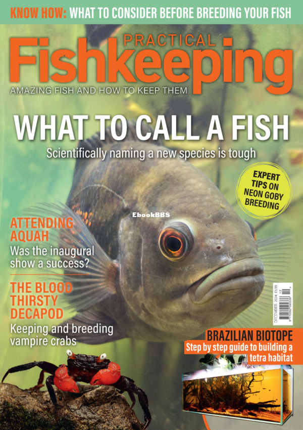 Practical Fishkeeping 12.2024 - 1.png