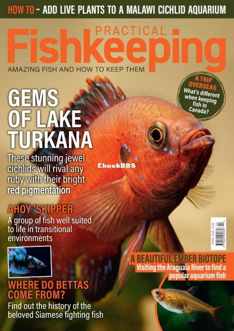 Practical Fishkeeping 04.2025 - 1.png