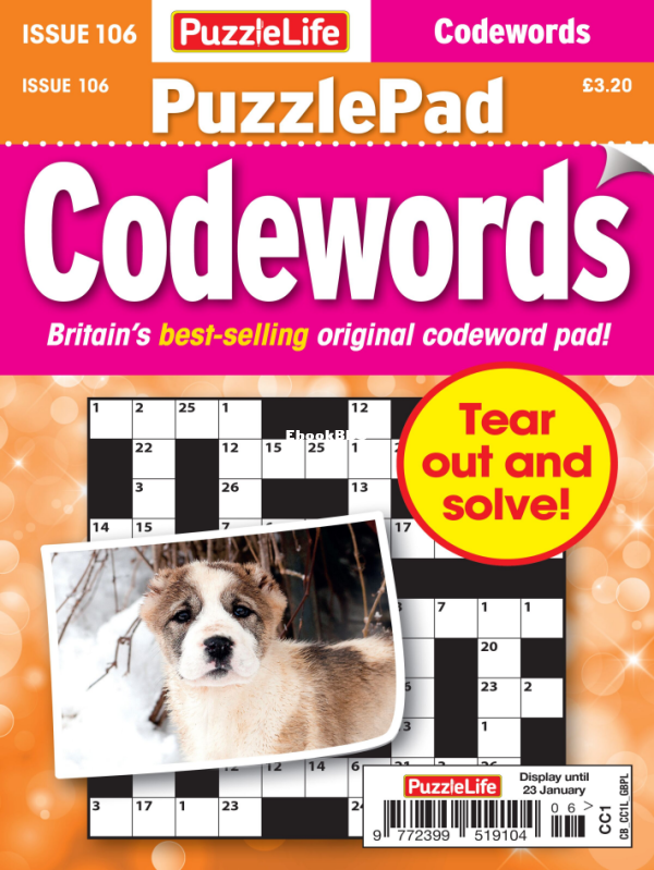 PuzzleLife_PuzzlePad_Codewords_-_December_2024 - 1.png