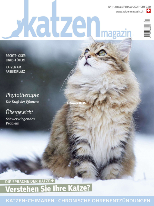 Katzen_1-2.21 - 1.png
