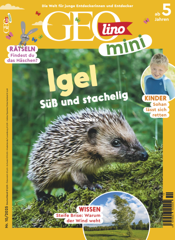 GEOmini_10-2025 - 1.png