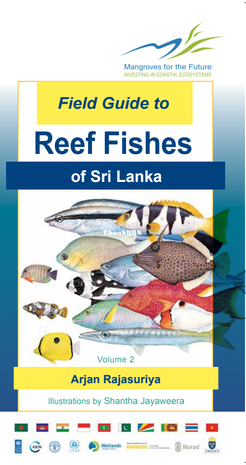 Reef-fishes-of Sri Lanka vol.2 - 1.png