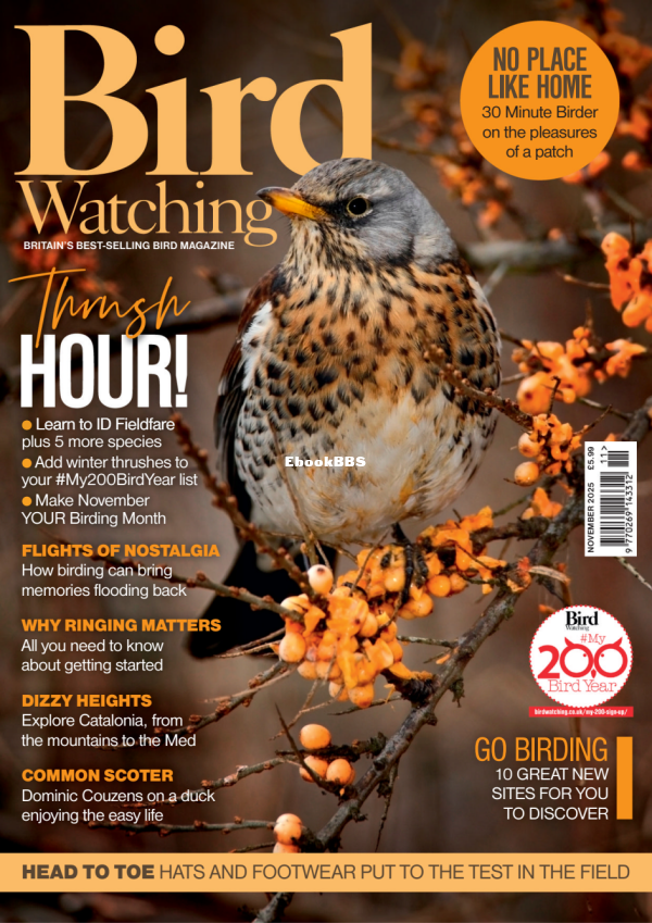 Bird_Watching_UK_-_November_2025 - 1.png