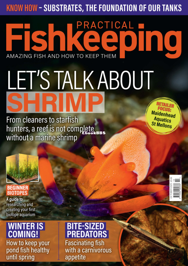 Practical_Fishkeeping_-_October_2025 - 1.png
