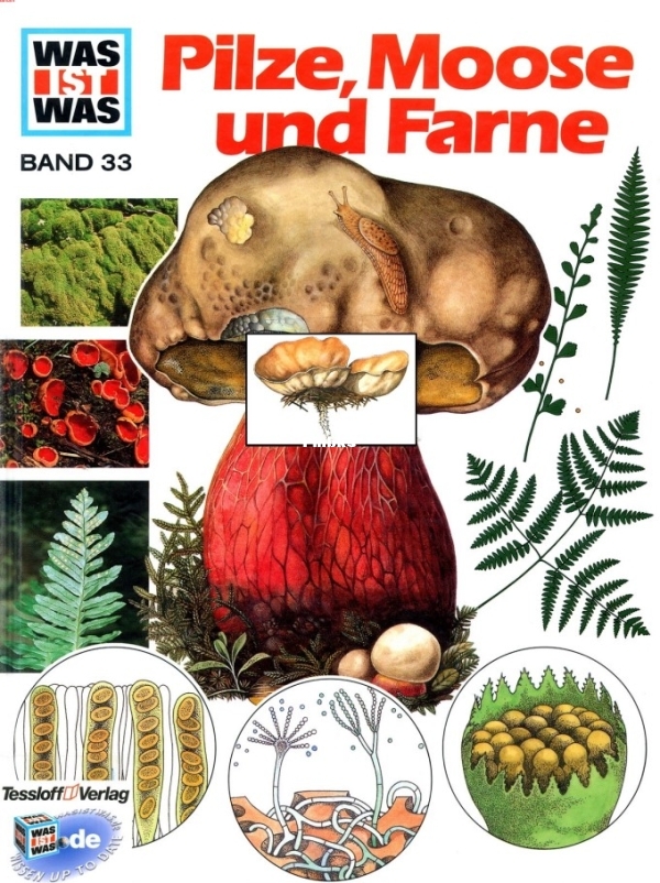 33.Was_Ist_Was_-_033_-_Pilze_Moose_und_Farne.jpg