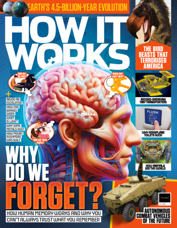 How It Works I199 2025 - 1.png