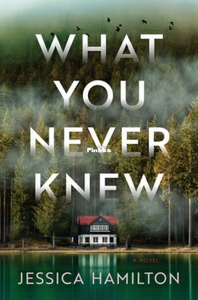 What You Never Knew.jpg