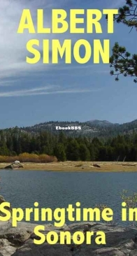 Springtime in Sonora - Henry Wright 2 - Albert Simon - English