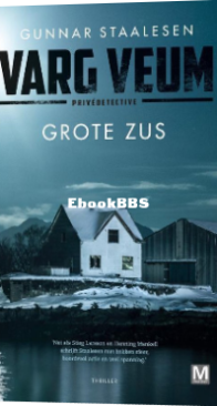 Grote Zus - Varg Veum 11 - Gunnar Staalesen - Dutch