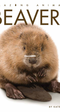 Beavers - Amazing Animals - Kate Riggs - English