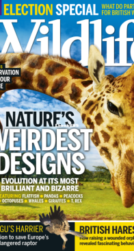 BBC Wildlife 2015 04 - English
