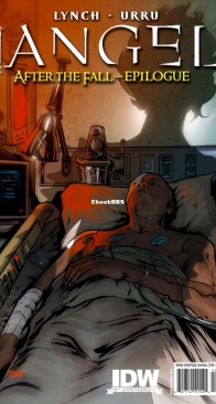 Angel v2 23 (of 44) - IDW 2009 - English
