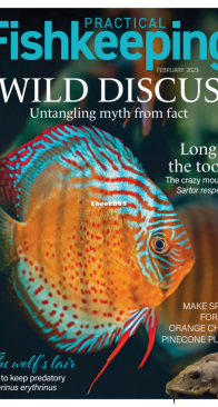 Practical Fishkeeping Magazine - 2023-02 - English