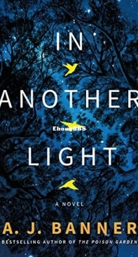 In Another Light - A. J. Banner - English