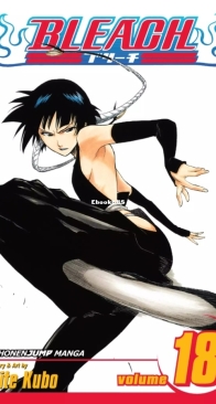 Bleach Colored 18 (of 74) - Viz 2007 - Tite Kubo - English