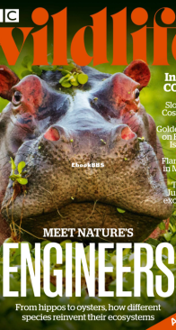 BBC Wildlife 2021 12 - English