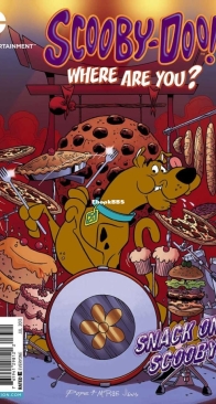 Scooby-Doo, Where Are You? 33 - DC Comics 2013 - Scott Gross - English