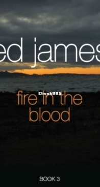 Fire in the Blood - Scott Cullen Mysteries 3 - Ed James - English