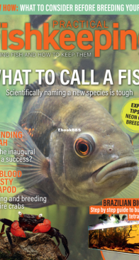 Practical Fishkeeping Magazine - 2024-12 - English