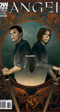 Angel v2 34 (of 44) - IDW 2010 - English