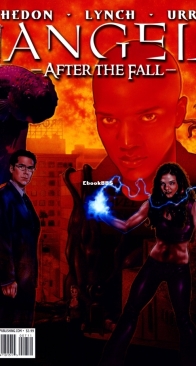 Angel - After The Fall 07 (of 17) - IDW 2008 - English