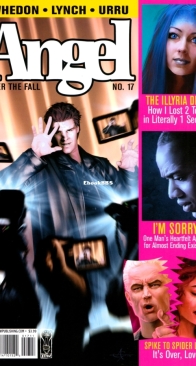 Angel - After The Fall 17 (of 17) - IDW 2009 - English