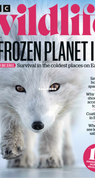 BBC Wildlife 2022 11 - English