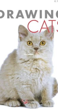 Drawing Cats - Roberto Fabbretti - English
