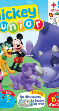 Mickey Junior 462 - 2024 - French