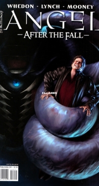 Angel - After The Fall 14 (of 17) - IDW 2008 - English