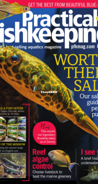 Practical Fishkeeping Magazine - 2019-12- English