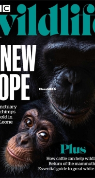 BBC Wildlife 2024 11 - English