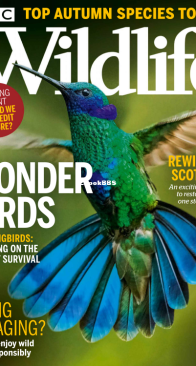 BBC Wildlife 2021 10 - English