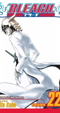 Bleach Colored 22 (of 74) - Viz 2007 - Tite Kubo - English