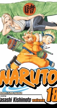 Naruto Colored 18 (of 72) - Viz 2007 - Masashi Kishimoto - English