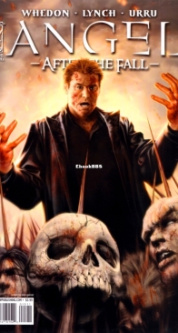 Angel - After The Fall 15 (of 17) - IDW 2008 - English