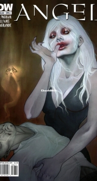 Angel v2 36 (of 44) - IDW 2010 - English