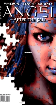 Angel - After The Fall 13 (of 17) - IDW 2008 - English