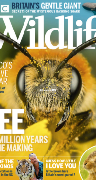 BBC Wildlife 2020 08 - English