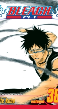 Bleach Colored 38 (of 74) - Viz 2012 - Tite Kubo - English