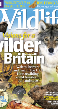 BBC Wildlife 2014 09 - English