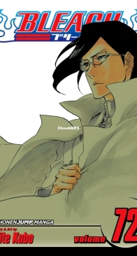Bleach Colored 72 (of 74) - Viz 2017 - Tite Kubo - English