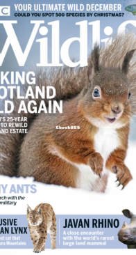 BBC Wildlife 2020 13 - English