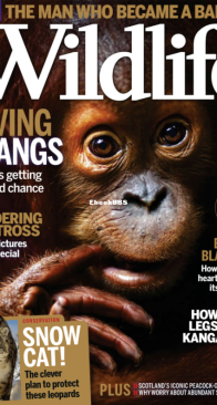 BBC Wildlife 2016 02 - English
