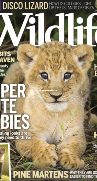 BBC Wildlife 2016 11 - English